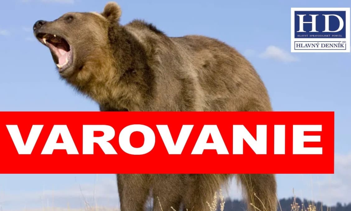 Medvedia šelma vo Veľkej Fatre naháňala turistov: Ochranári rýchlo odhalili dôvod