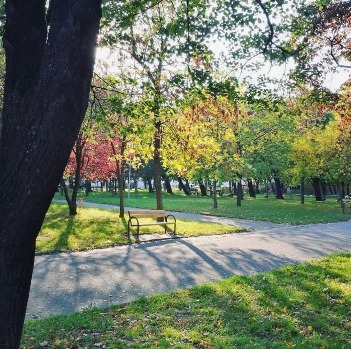 Park na Račianskom mýte