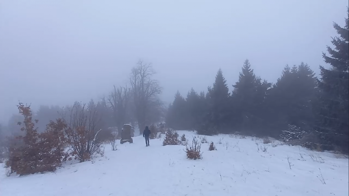 Ihličnany tu boli vysadené pred 30. rokmi