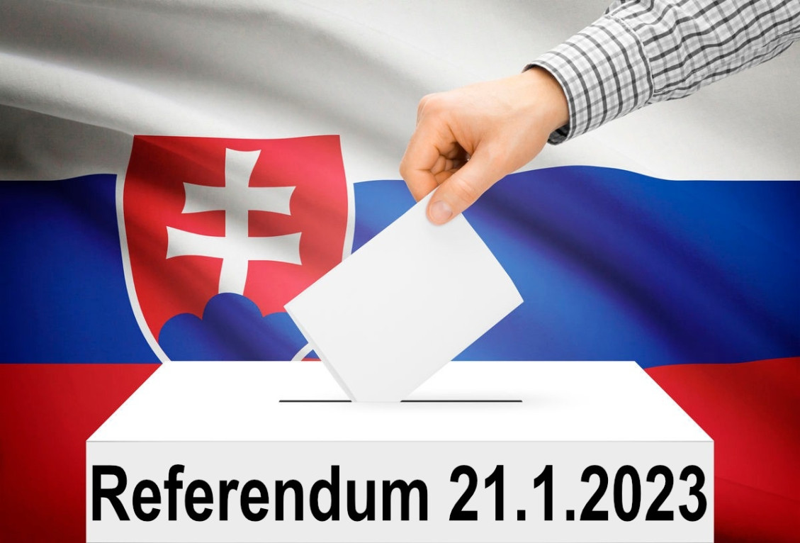 Začiatkom tohto roka Slovenský Google "žil" aj otázkami okolo referenda